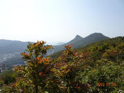 Thumbnail of pic_LK_Cheung_010.jpg