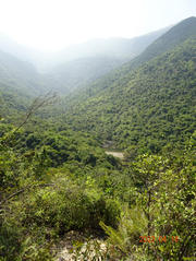 Thumbnail of pic_LK_Cheung_013.jpg