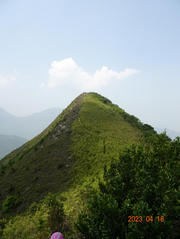 Thumbnail of pic_LK_Cheung_045.jpg