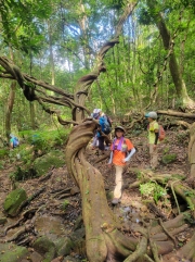 Thumbnail of pic_WaiG_083.jpg