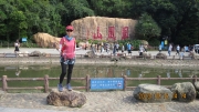 Thumbnail of pic_Derek_Wong_005.JPG