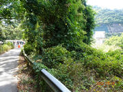 Thumbnail of pic_LK_Cheung_089.jpg