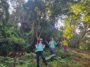 Thumbnail of pic_WaiG_016.jpg