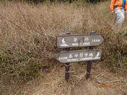 Thumbnail of pic_LK_Cheung_045.jpg