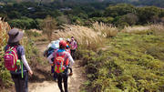 Thumbnail of pic_KC_Chan_050.jpg