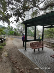 Thumbnail of pic_Zehua_Huang_135.jpg