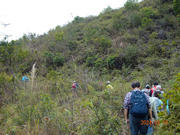 Thumbnail of pic_LK_Cheung_058.jpg