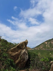 Thumbnail of pic_Regina_Cheng_065.jpg