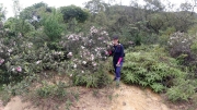 Thumbnail of pic_Derek_Wong_011.JPG