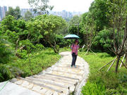 Thumbnail of P7140026.JPG