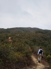 Thumbnail of pic_XF_Liu_138.jpg