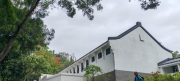 Thumbnail of pic_Cindy_Tse_005.jpg