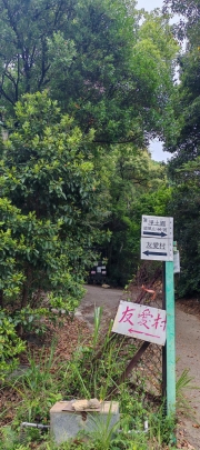 Thumbnail of pic_Cindy_Tse_006.jpg