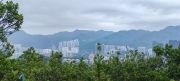 Thumbnail of pic_Cindy_Tse_010.jpg