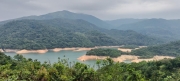 Thumbnail of pic_Cindy_Tse_016.jpg