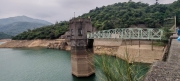 Thumbnail of pic_Cindy_Tse_021.jpg