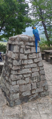 Thumbnail of pic_Cindy_Tse_022.jpg