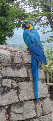 Thumbnail of pic_Cindy_Tse_023.jpg