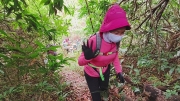 Thumbnail of pic_Derek_Wong_006.jpg