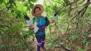Thumbnail of pic_Derek_Wong_010.jpg