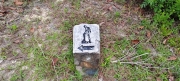 Thumbnail of pic_Derek_Wong_024.jpg