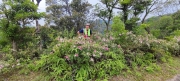 Thumbnail of pic_Derek_Wong_032.jpg