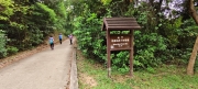 Thumbnail of pic_Derek_Wong_045.jpg