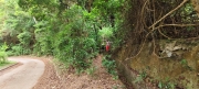 Thumbnail of pic_Derek_Wong_047.jpg