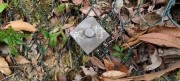 Thumbnail of pic_Derek_Wong_048.jpg