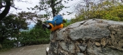 Thumbnail of pic_Derek_Wong_056.jpg