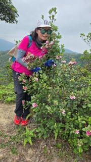 Thumbnail of pic_KW_Li_044.jpg