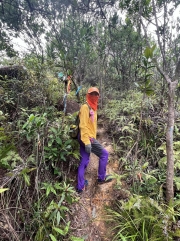 Thumbnail of pic_Paul_Tsang_035.jpg