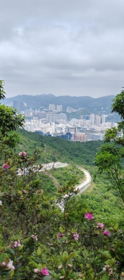 Thumbnail of pic_Cindy_Tse_004.jpg