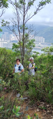 Thumbnail of pic_Cindy_Tse_012.jpg