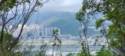Thumbnail of pic_Cindy_Tse_020.jpg