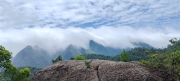 Thumbnail of pic_Cindy_Tse_021.jpg