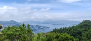 Thumbnail of pic_Cindy_Tse_025.jpg