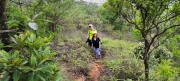 Thumbnail of pic_Derek_Wong_024.jpg