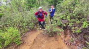 Thumbnail of pic_Derek_Wong_027.jpg