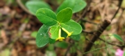 Thumbnail of pic_Derek_Wong_045.jpg