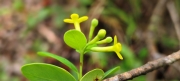 Thumbnail of pic_Derek_Wong_046.jpg