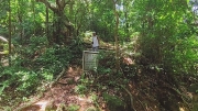 Thumbnail of pic_Derek_Wong_085.jpg
