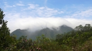 Thumbnail of pic_Loong_010.JPG