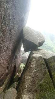 Thumbnail of pic_Loong_012.JPG