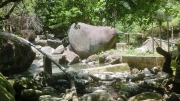 Thumbnail of pic_Loong_022.JPG