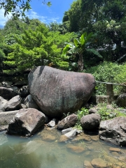 Thumbnail of pic_TB_Tung_020.jpg