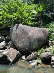 Thumbnail of pic_TB_Tung_021.jpg