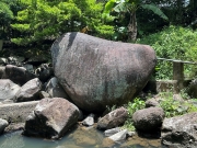 Thumbnail of pic_TB_Tung_022.jpg