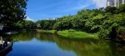 Thumbnail of pic_Cindy_Tse_005.jpg