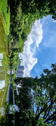 Thumbnail of pic_Cindy_Tse_007.jpg